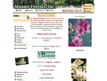 Tablet Screenshot of musserforest.com